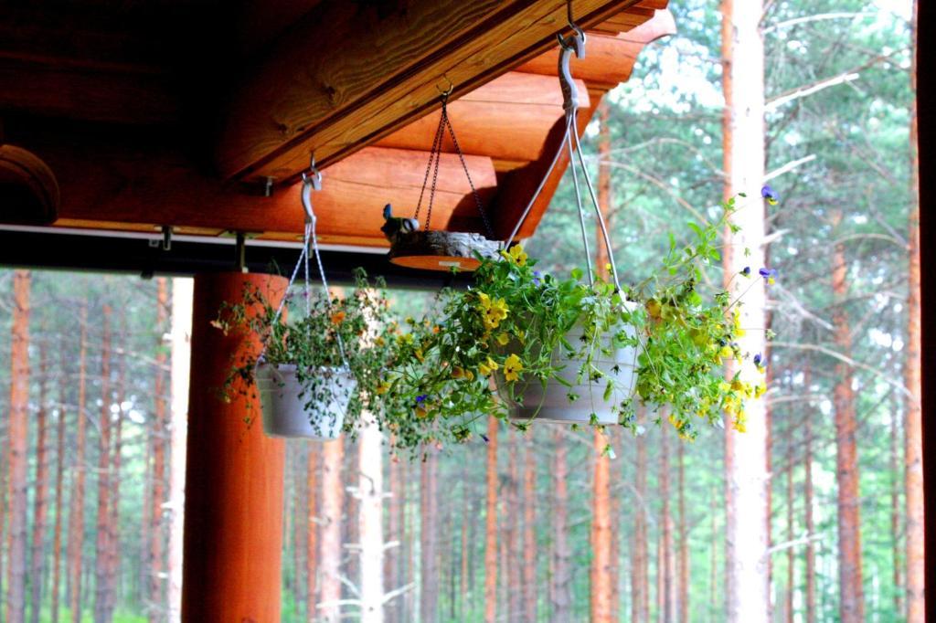 Kettu Holl Cottage Taipalsaari Exterior foto